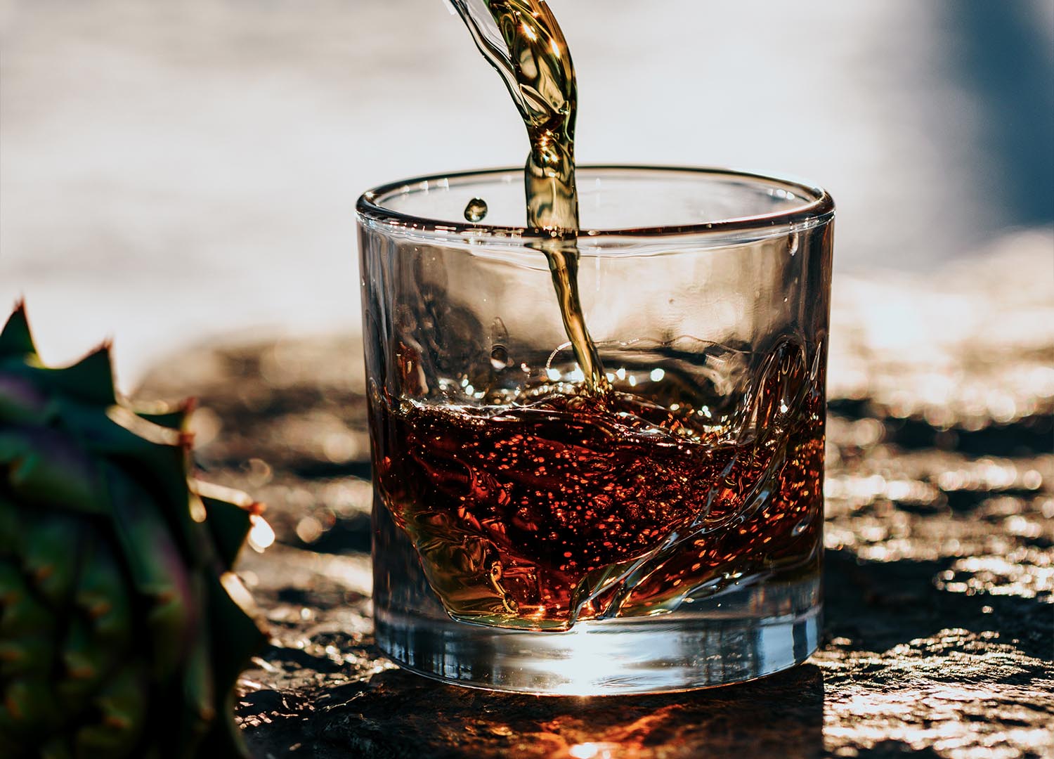 Cynar: włoski aperitif z karczocha, który zachwyca