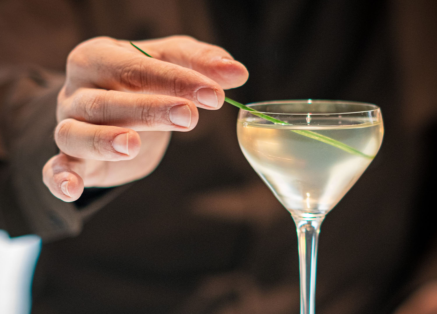Wermut – od aperitifu po klasyczne koktajle